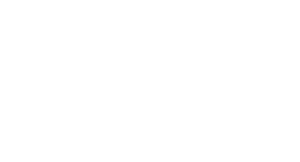 LARIO logo