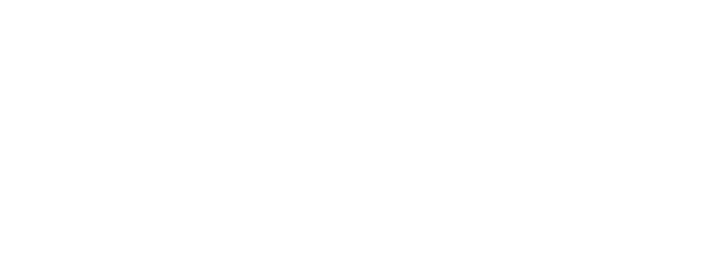 Lario logo
